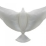 Воздушный надувной голубь, Белый